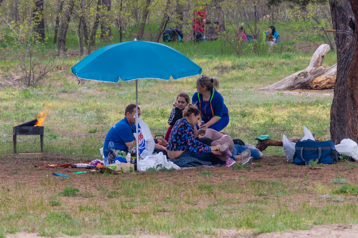 Опасайтесь клещей Опасайтесь клещей