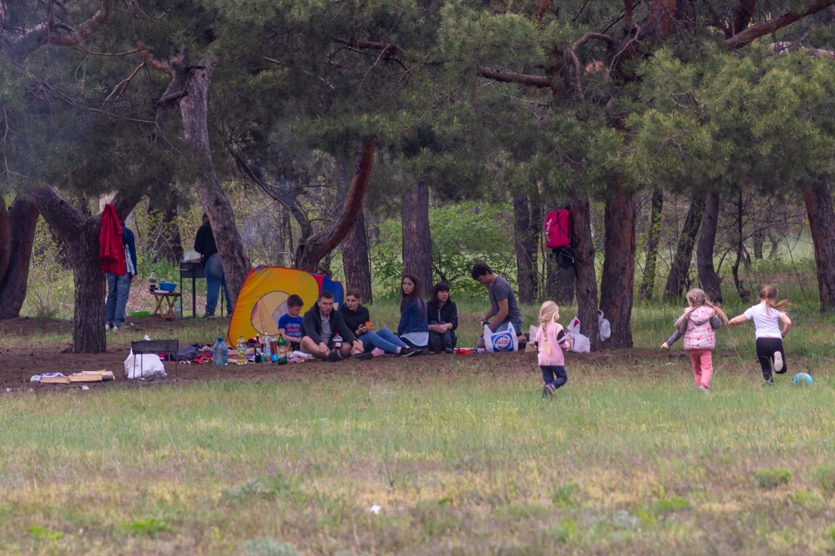 Не жгите сухую траву Не жгите сухую траву