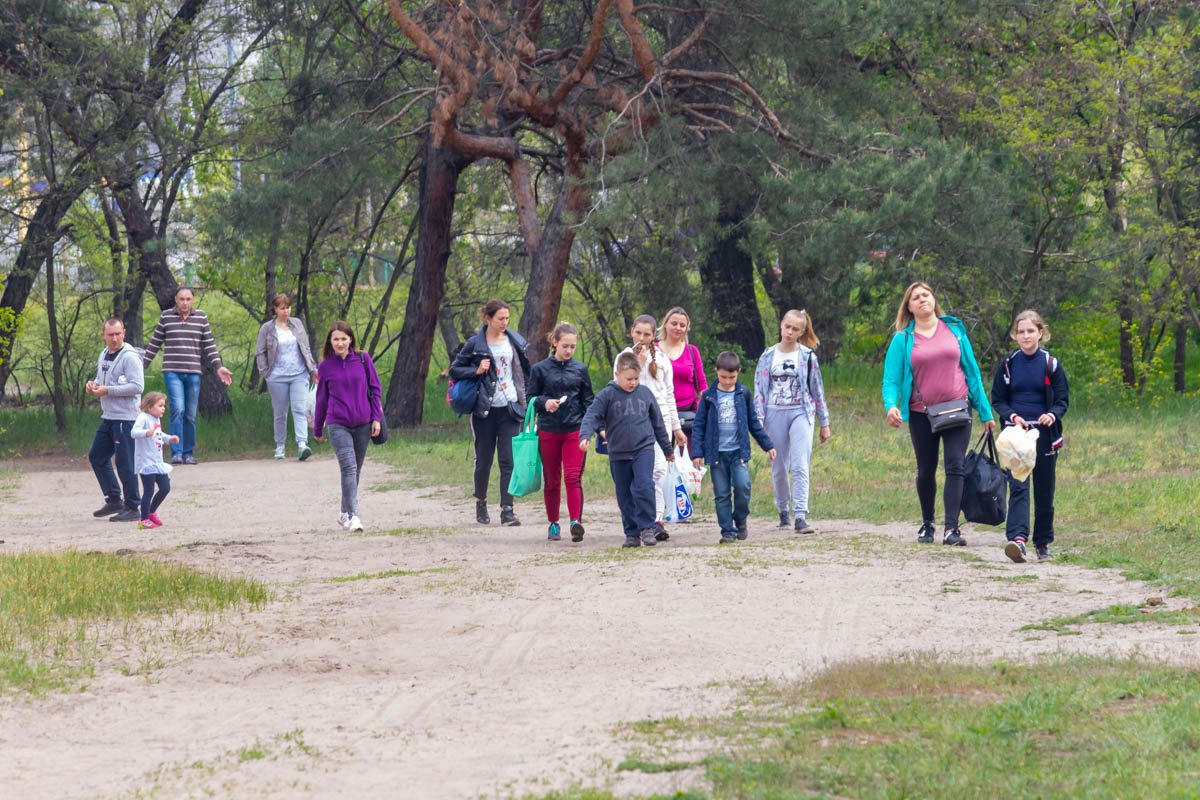 Миграция людей в лес Миграция людей в лес