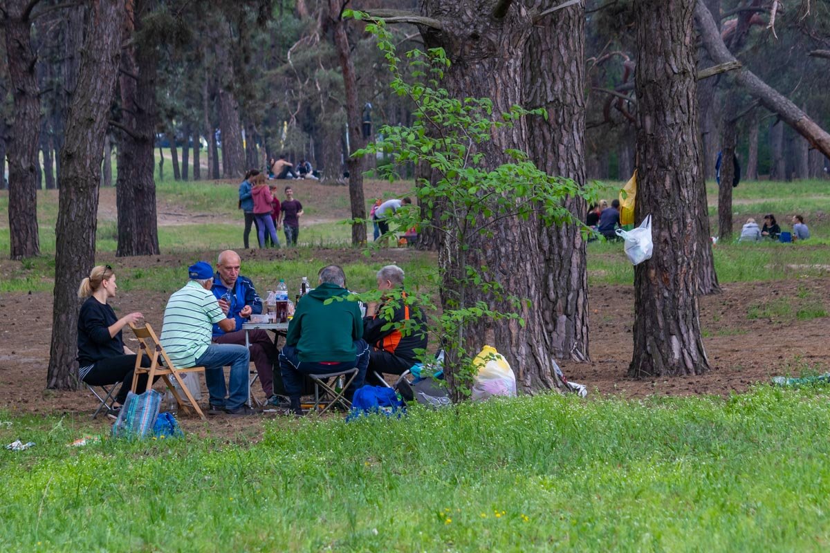 Осторожно со змеями Осторожно со змеями