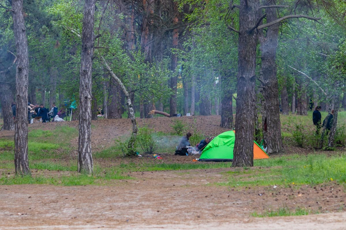 Слышите аромат? Слышите аромат?