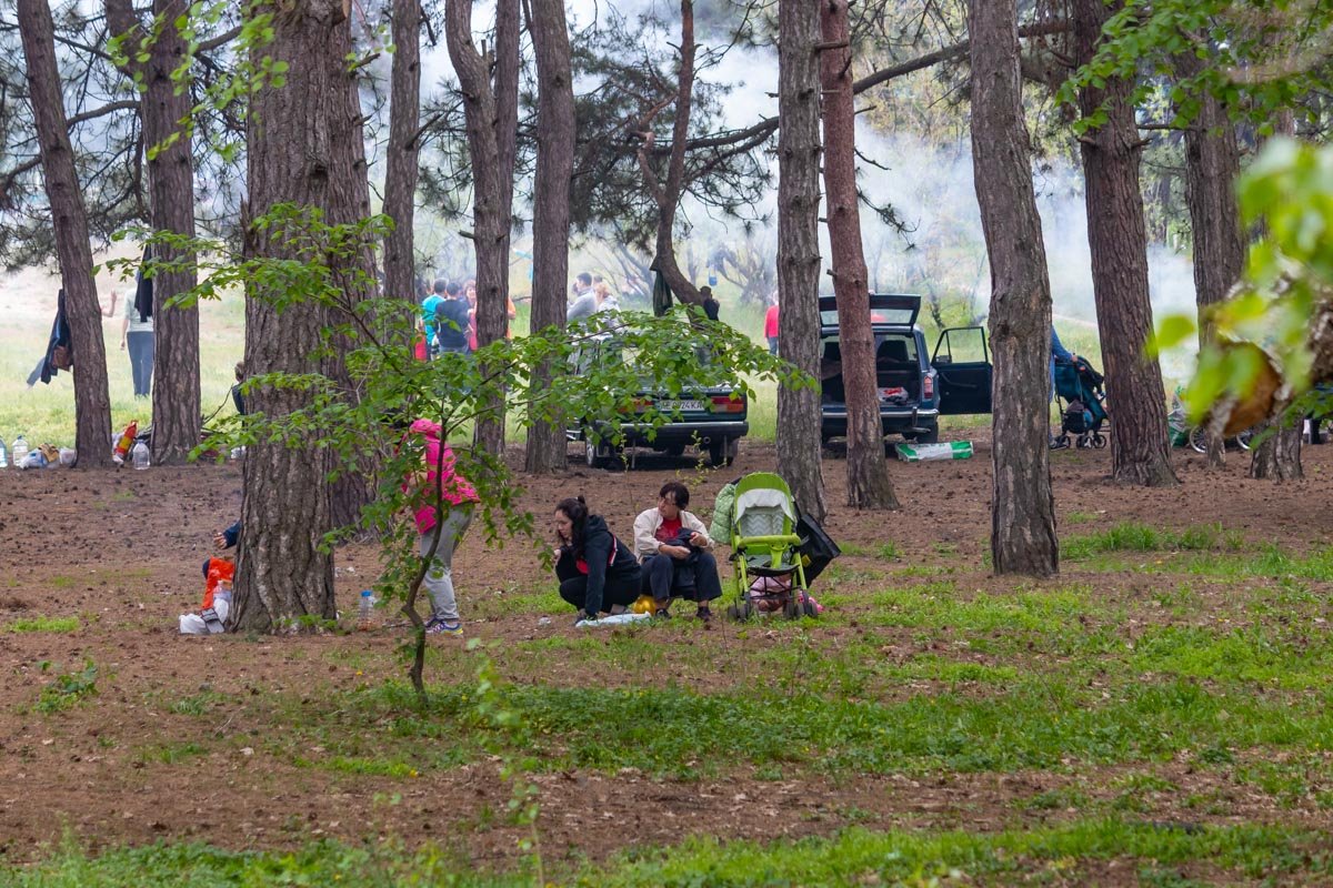 Дети в восторге Дети в восторге