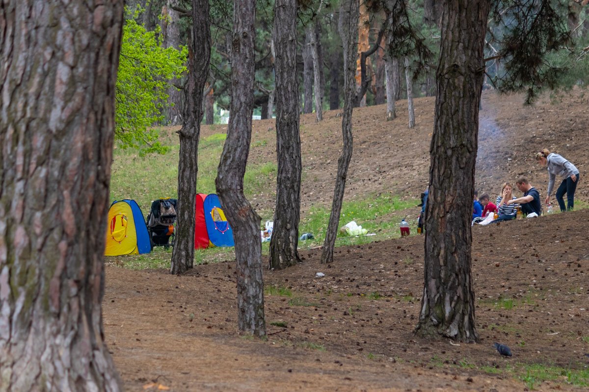 Не сидите дома Не сидите дома
