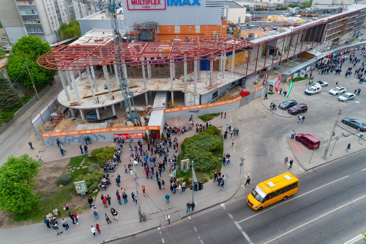 Птицы сочувствовали людям