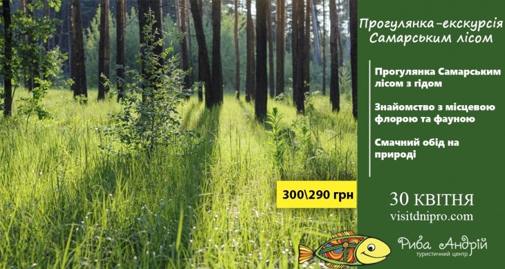 Прогулянка-екскурсія до Самарського лісу Прогулянка-екскурсія до Самарського лісу