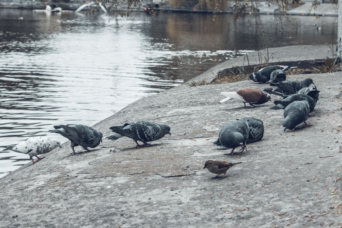 Все веселятся вокруг, ну и пусть, Предпочитаю я легкую грусть.