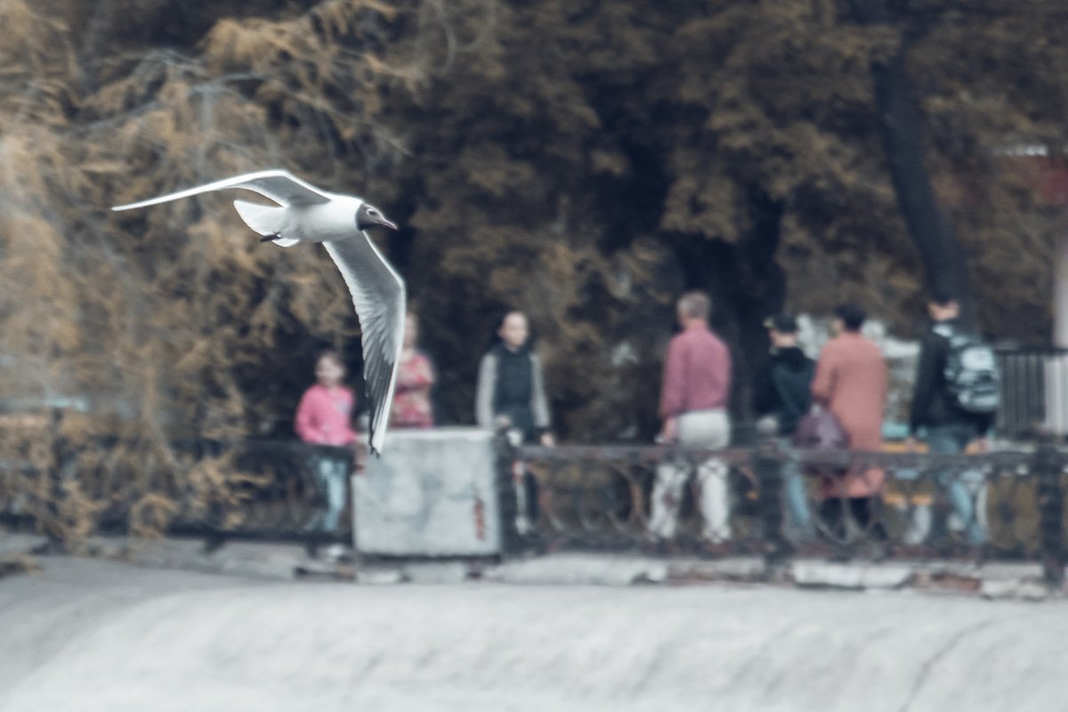 Зло заражает всякий скальпель, которым его пытаются вырезать