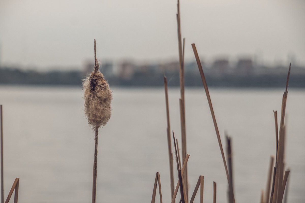 Чтобы выжить, надо перестать допытываться, в чем смысл жизни. Жизнь сама по себе и есть ответ
