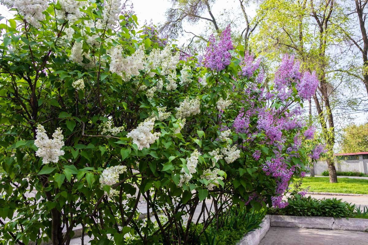 Весна ворвалась в Днепр Весна ворвалась в Днепр