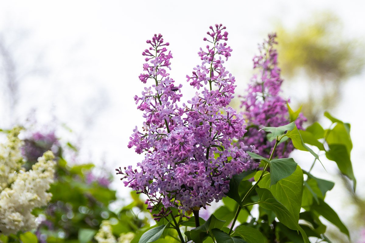 Хватит сидеть дома Хватит сидеть дома