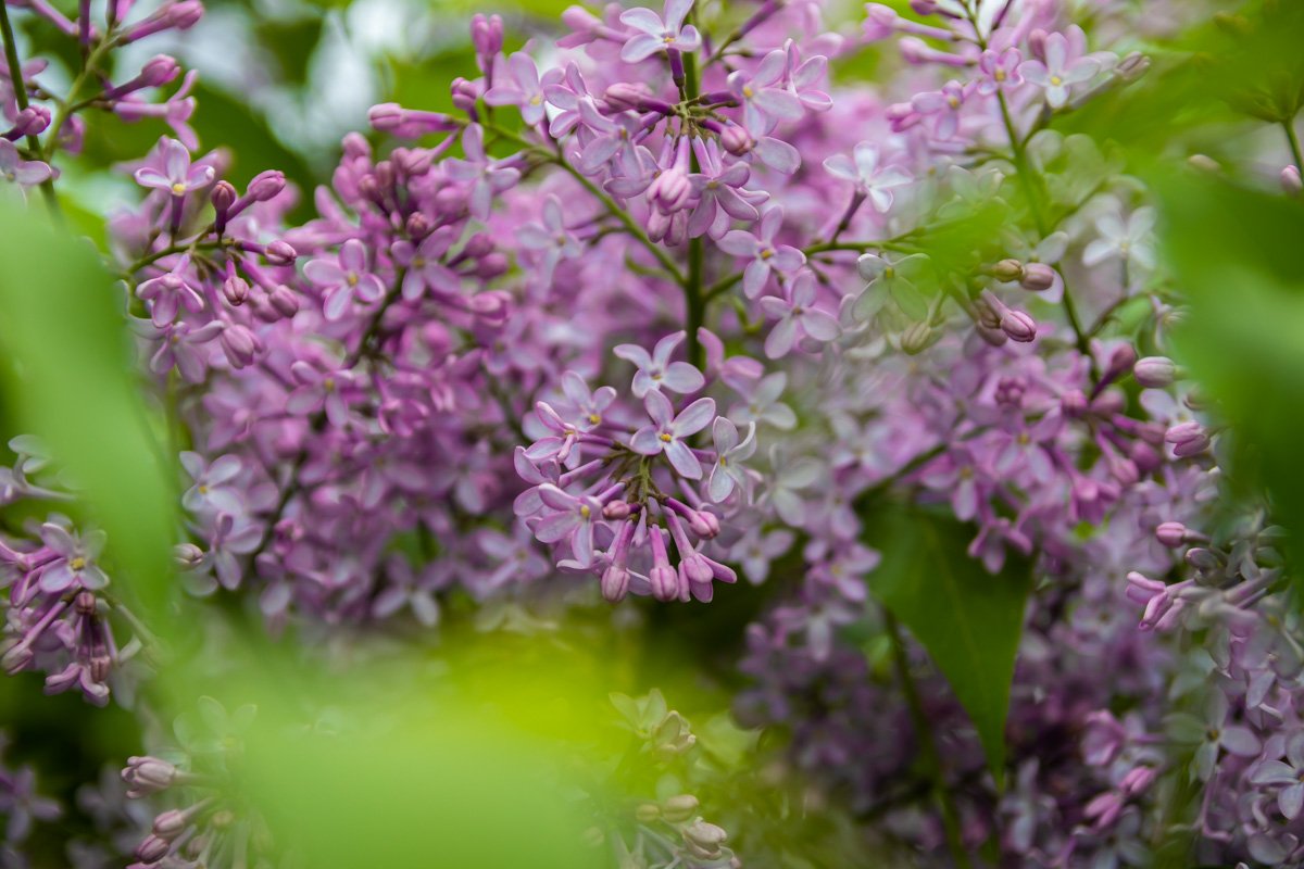 Любите Днепр Любите Днепр