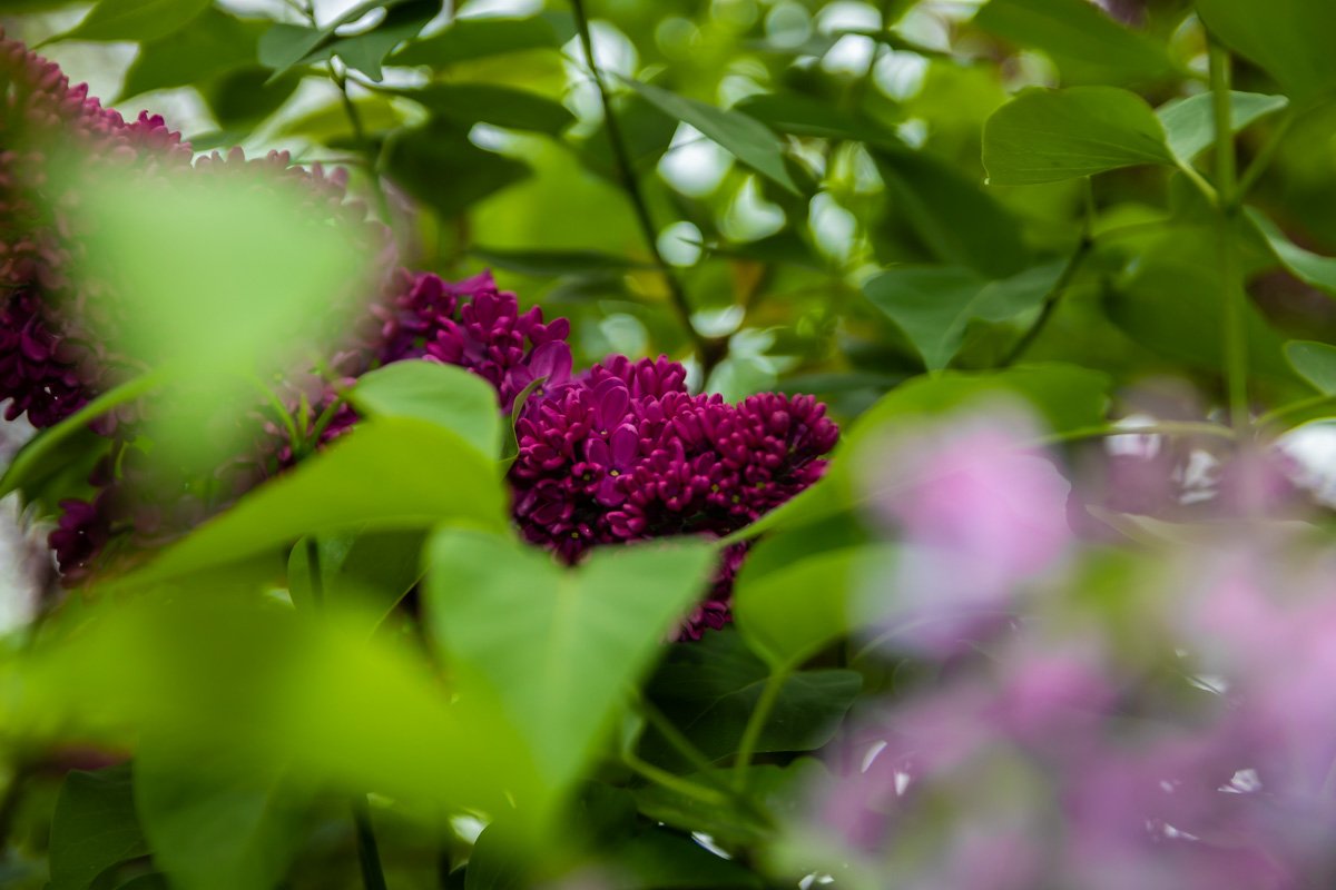 Больше цвета! Больше цвета!