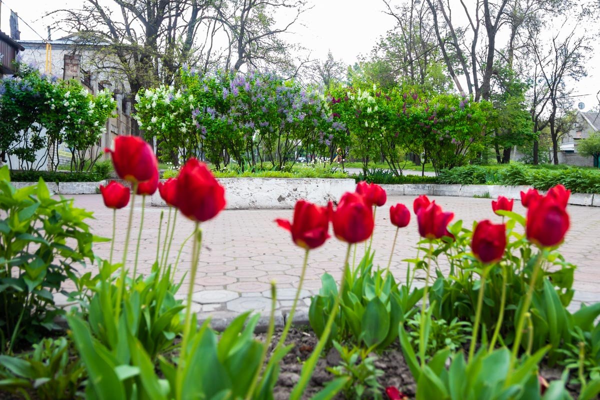 Открывайте окна Открывайте окна