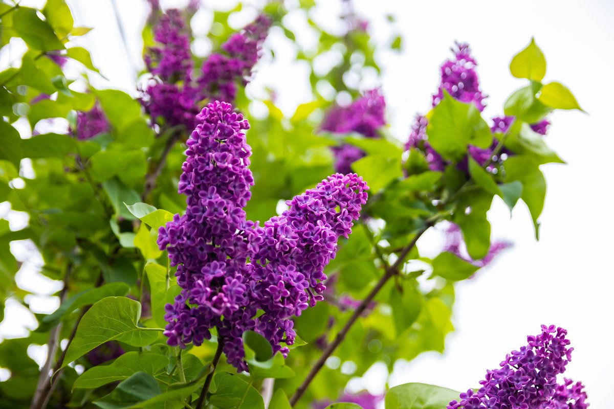 Дождь не испортит настроения Дождь не испортит настроения