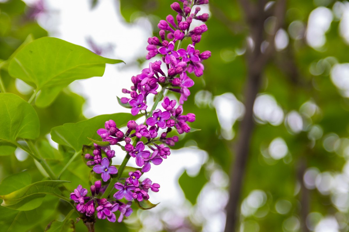 Любовь витает в воздухе Любовь витает в воздухе