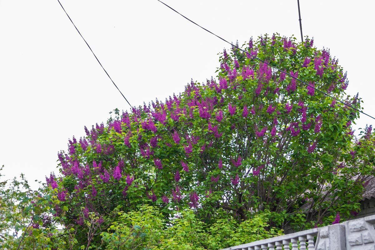 Днепр становится ярче Днепр становится ярче