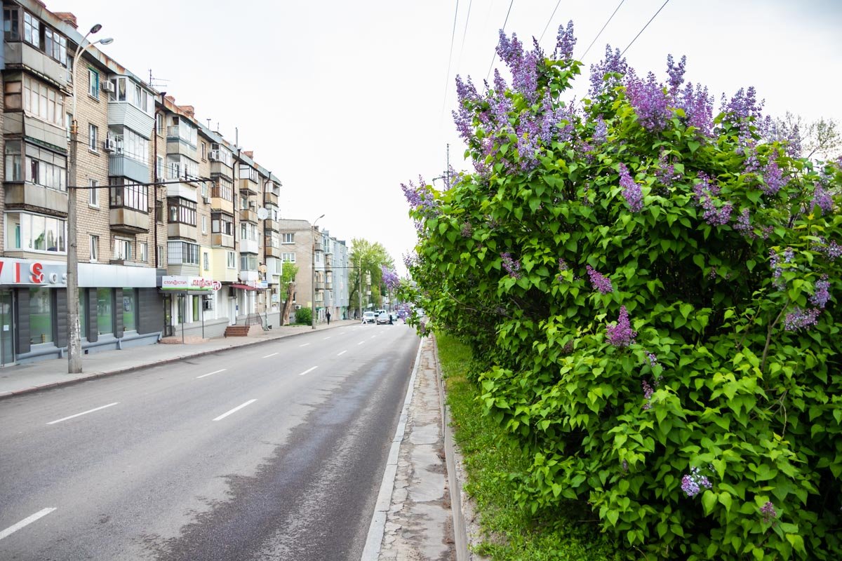 Весна уже тут Весна уже тут