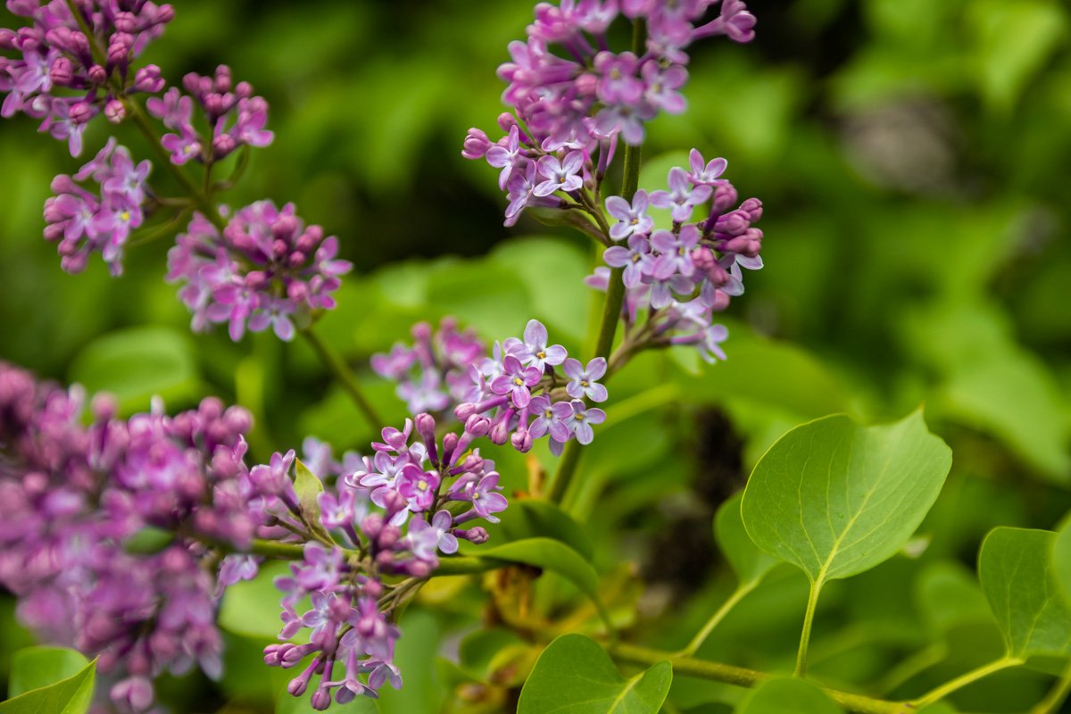 Влюбляйтесь в Днепр снова и снова Влюбляйтесь в Днепр снова и снова