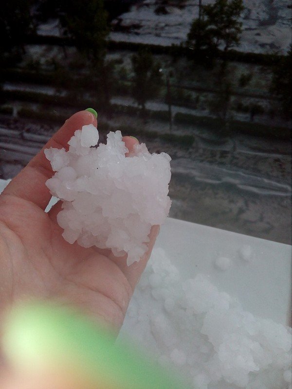 Трофей с подоконника 