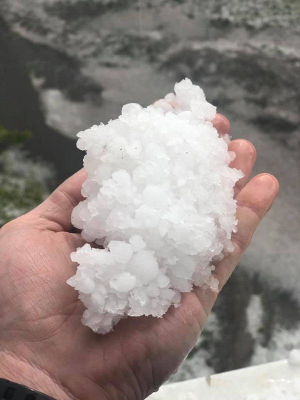 Еще один трофей