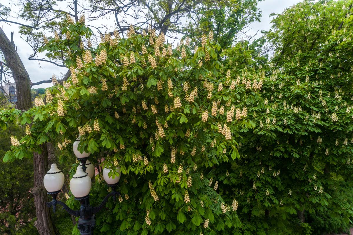 Назло погоде Назло погоде