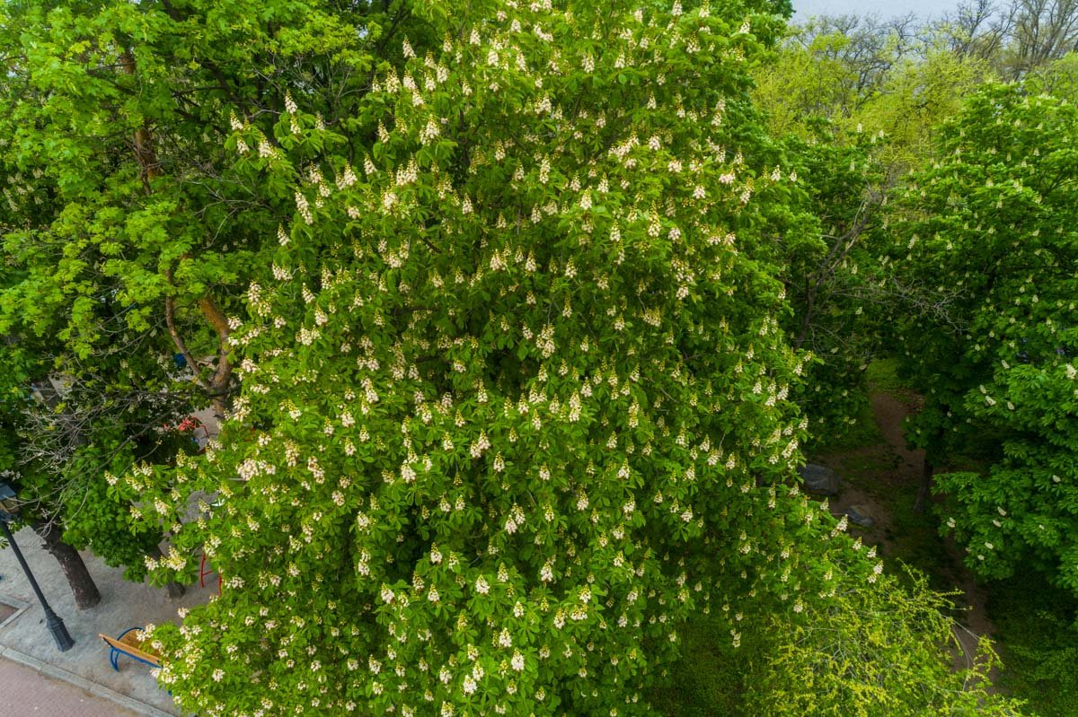 Тепло, приди! Тепло, приди!