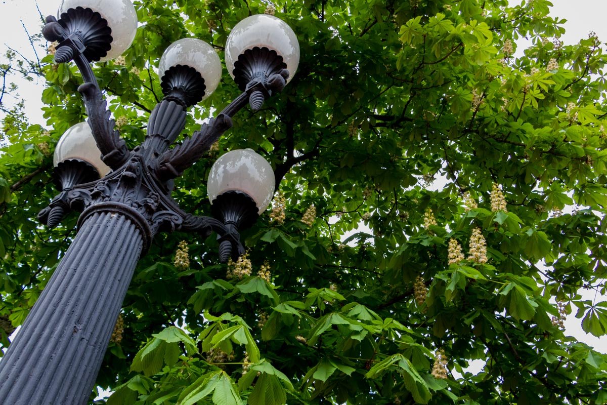 Выходите гулять Выходите гулять