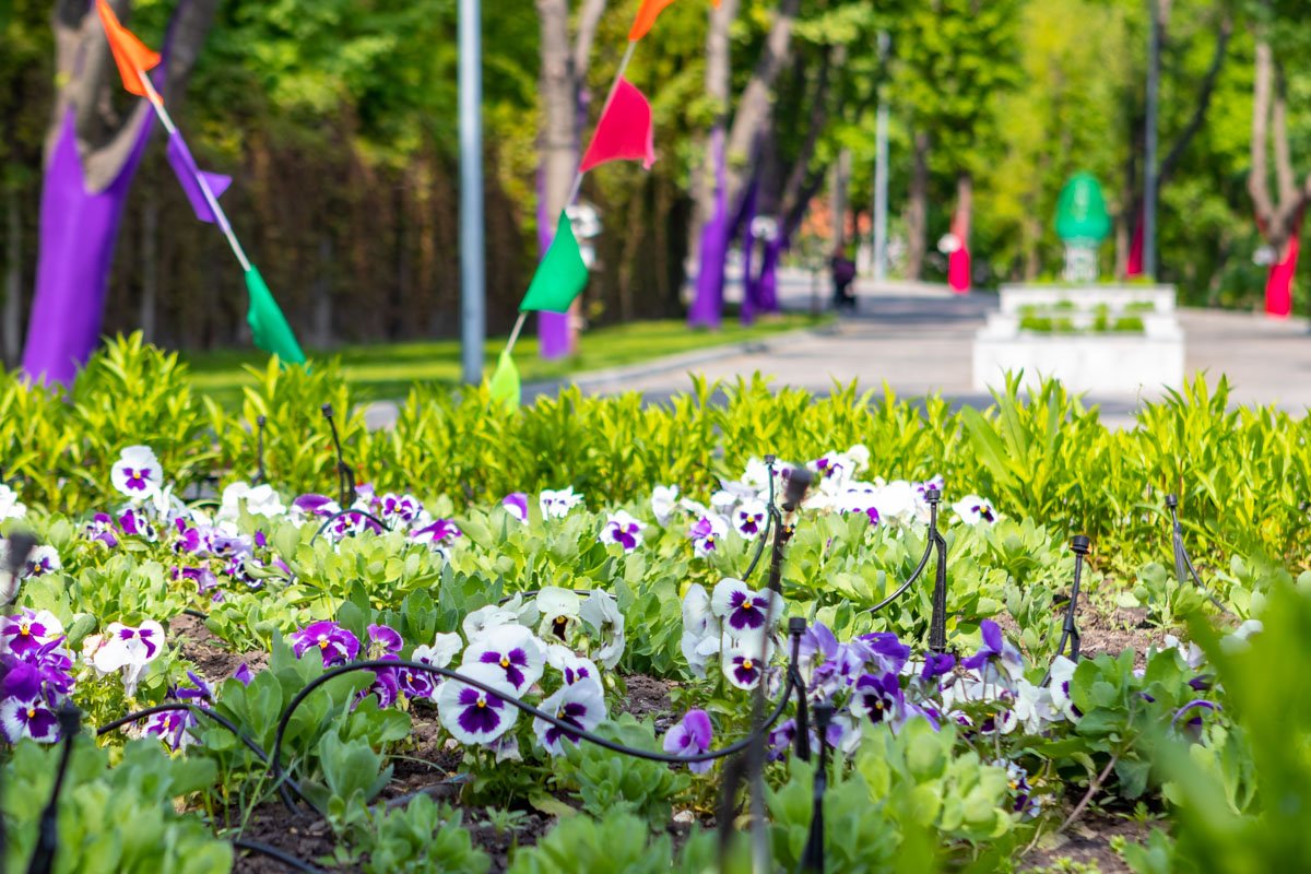 Фото: Андрей Шушпан Фото: Андрей Шушпан