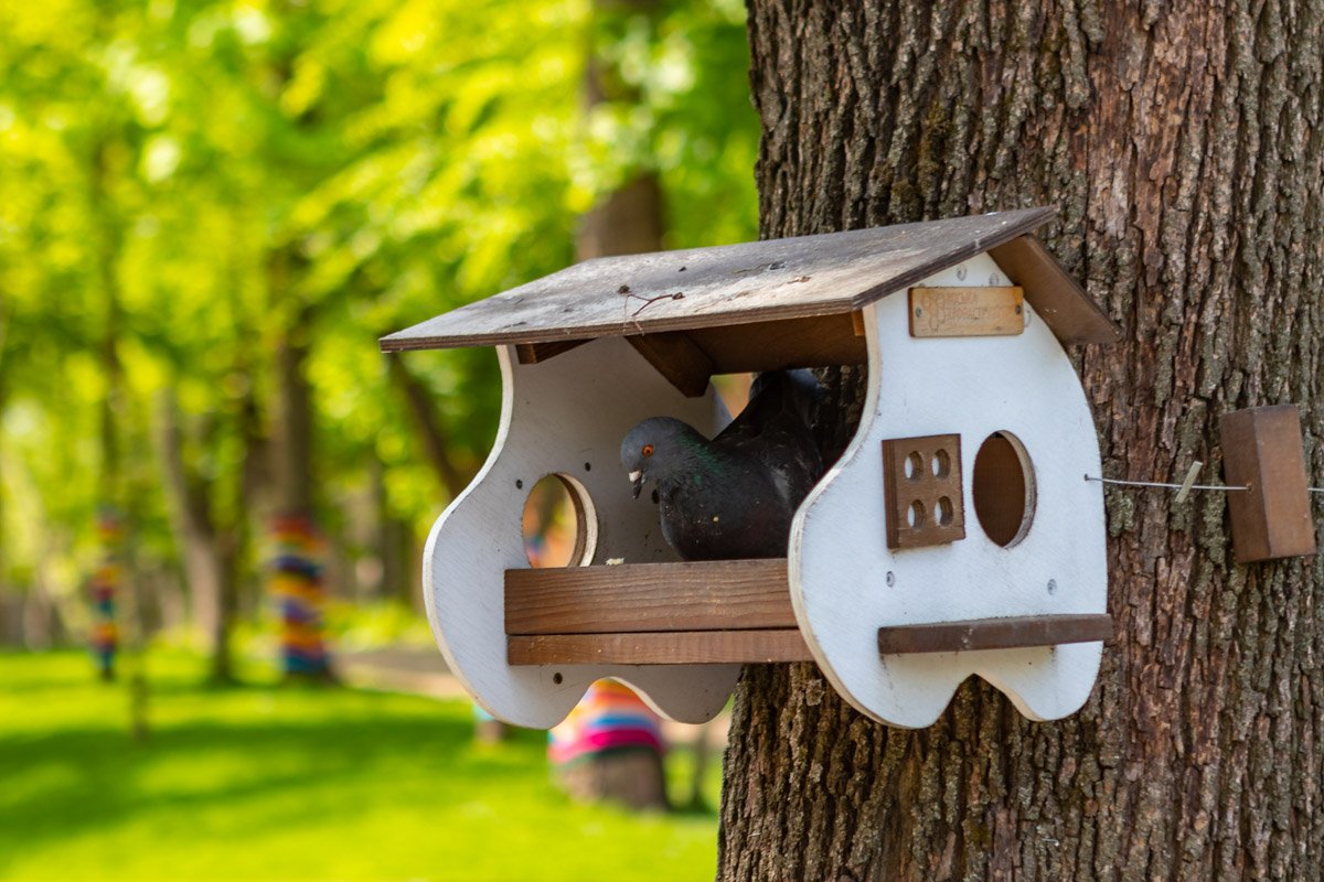 В это время года здесь очень красиво  В это время года здесь очень красиво