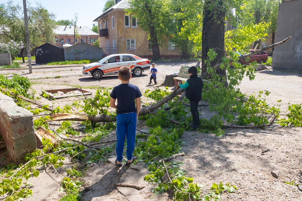 Ветка упала туда, где обычно играют дети Ветка упала туда, где обычно играют дети