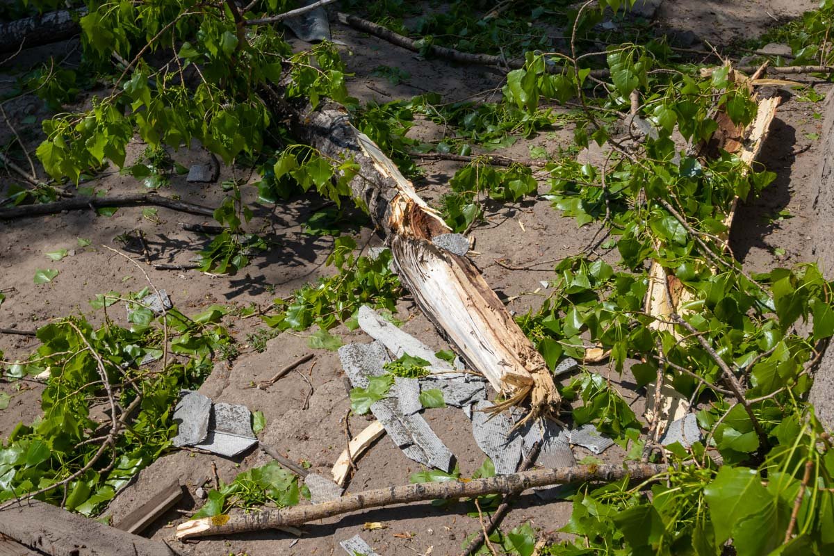 Никто не пострадал Никто не пострадал