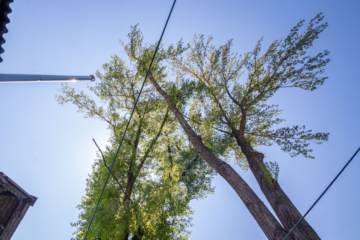 Будут ли коммунальщики что-либо предпринимать пока неизвестно Будут ли коммунальщики что-либо предпринимать пока неизвестно