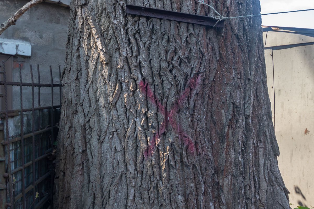 Инцидент произошел около 11:00 Инцидент произошел около 11:00