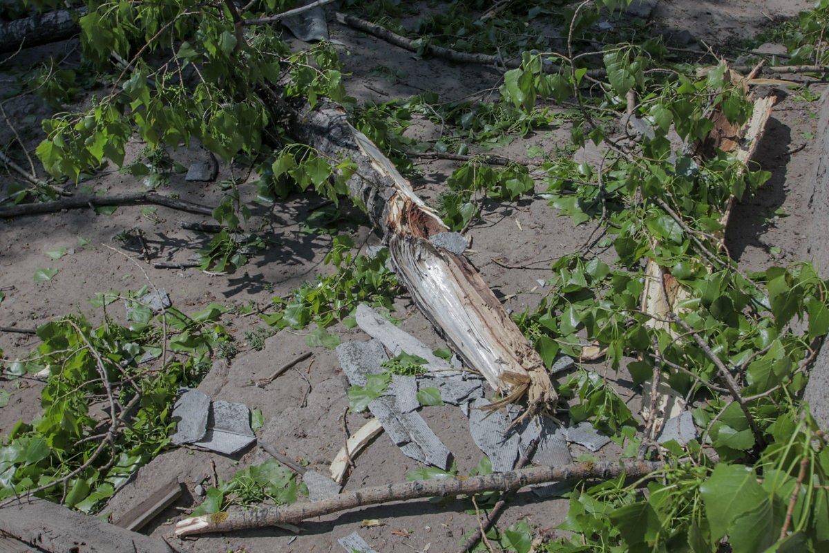 Вероятно, ветка упала из-за сильного ветра Вероятно, ветка упала из-за сильного ветра