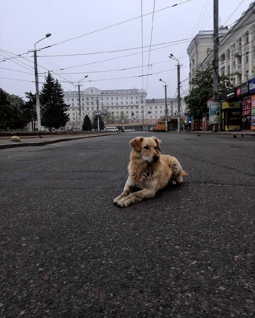 Романтика пустынного города. Фото: photo_nakota