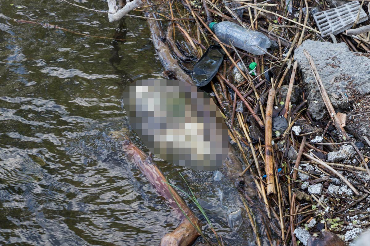 Инцидент произошел приблизительно в 16:30