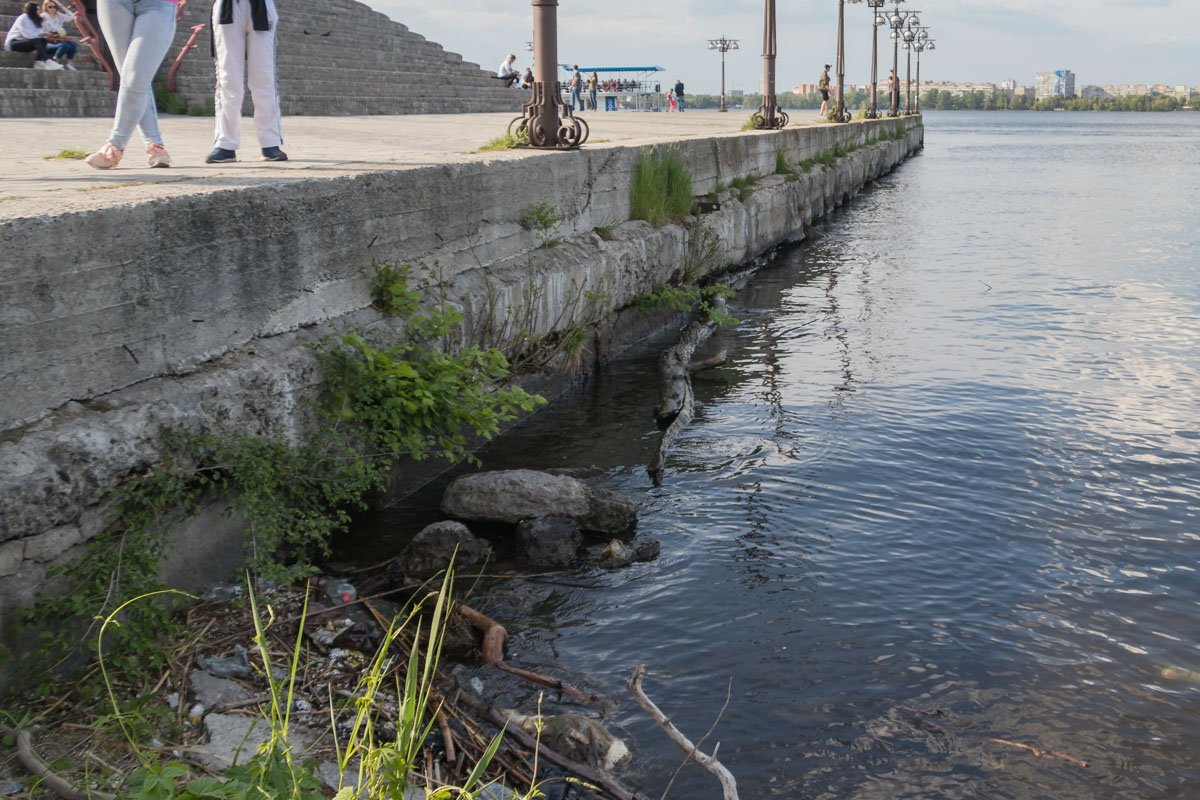Люди вызвали Зооконтроль