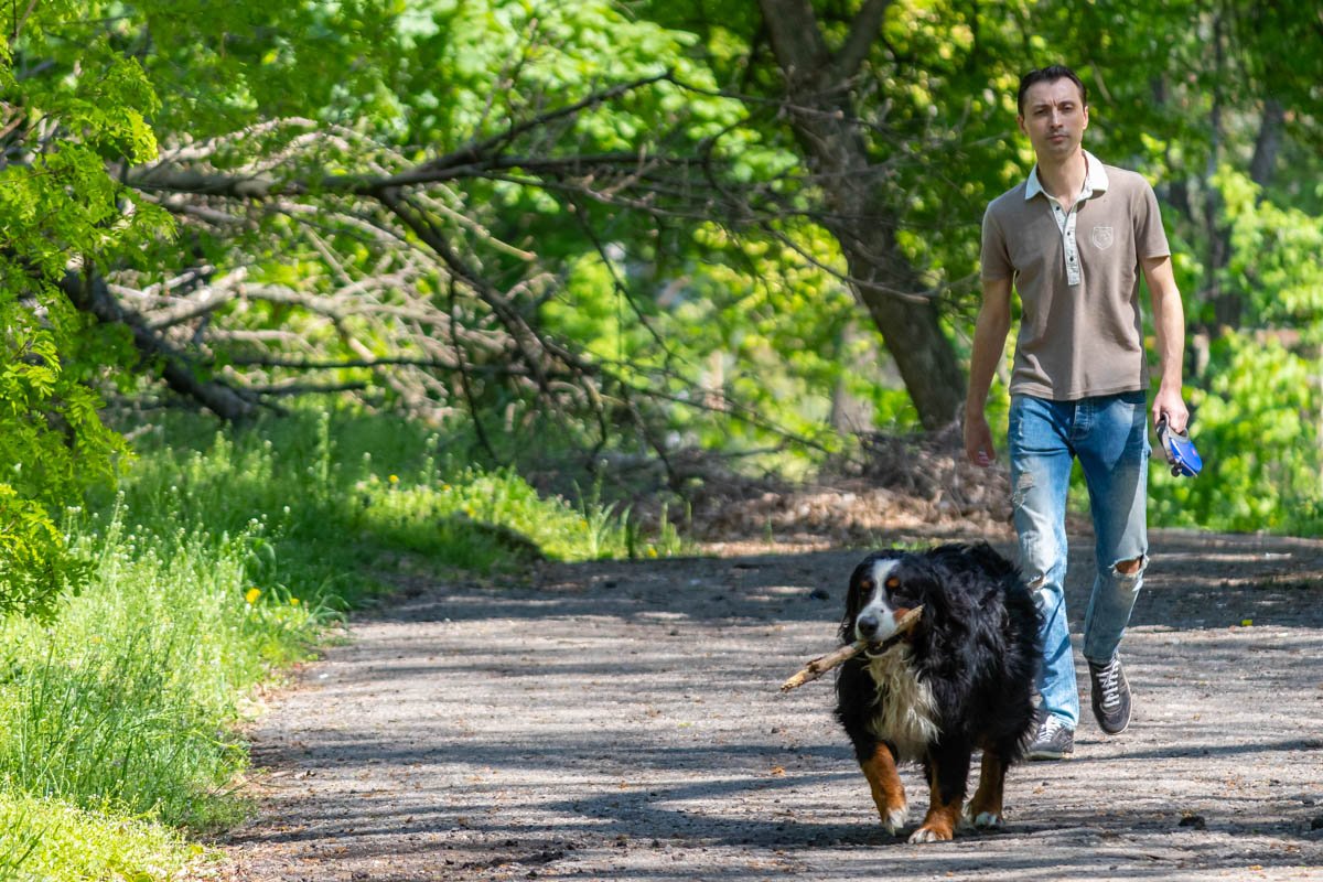 Что может быть более умиротворяющим, чем прогулка с любимым питомцем в выходной?  Что может быть более умиротворяющим, чем прогулка с любимым питомцем в выходной?