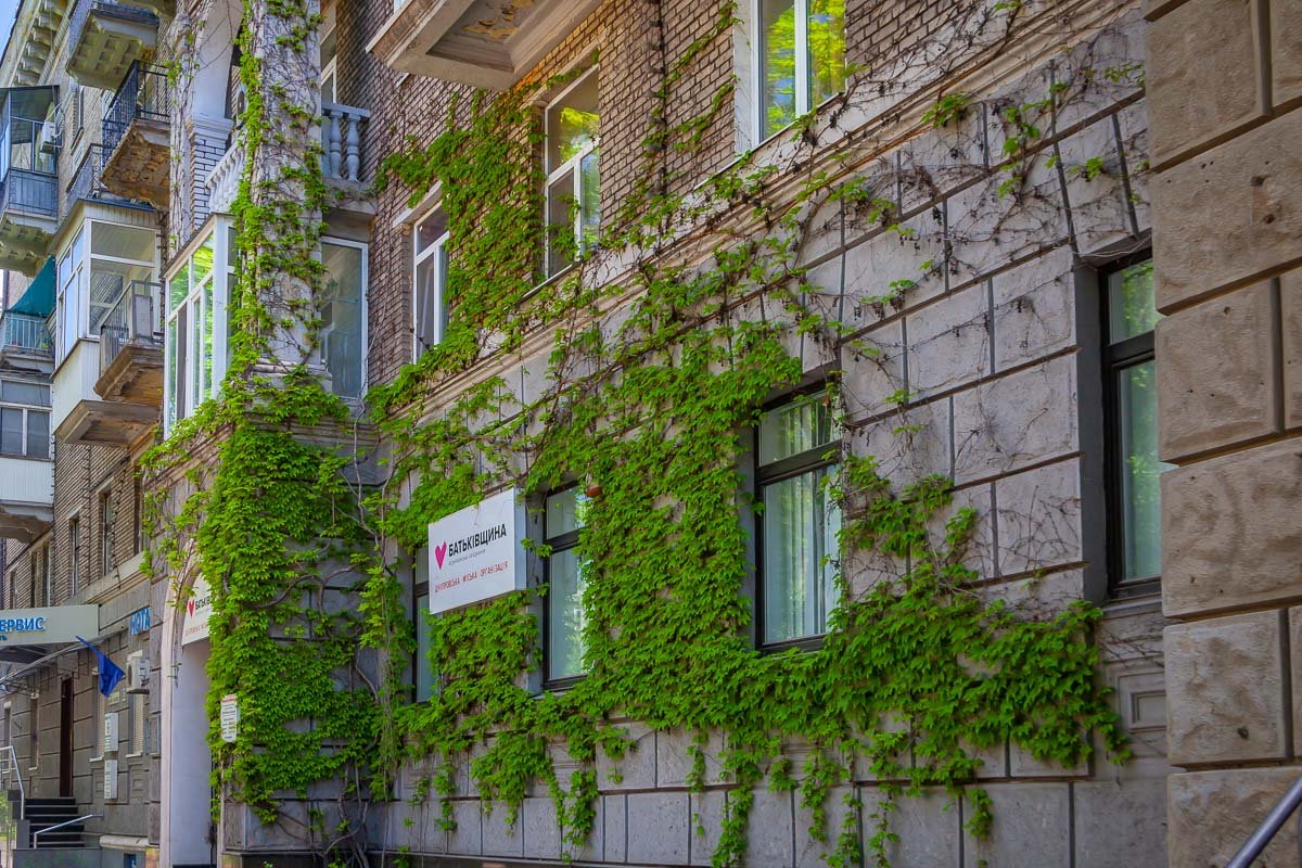 Днепр укрыло весной