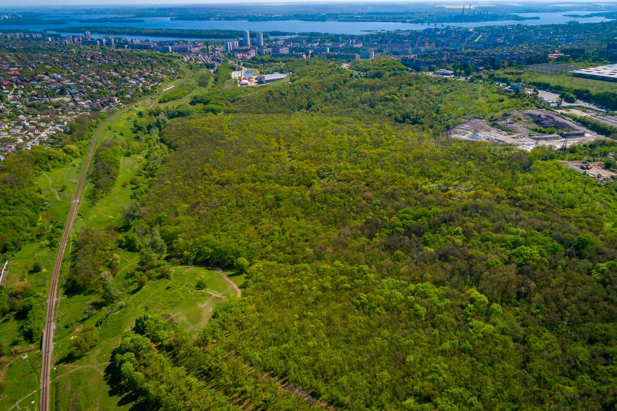 Рай для шашлычника