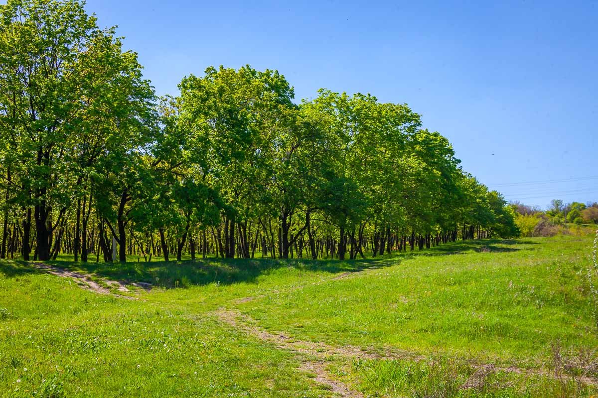 Без человеческих следов