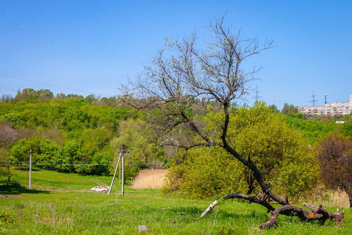 Можно писать картины