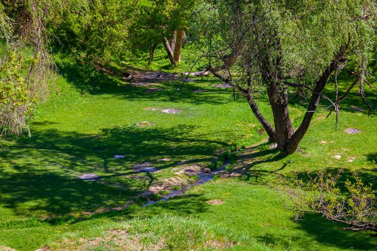 Признайся, ты уже достал мангал