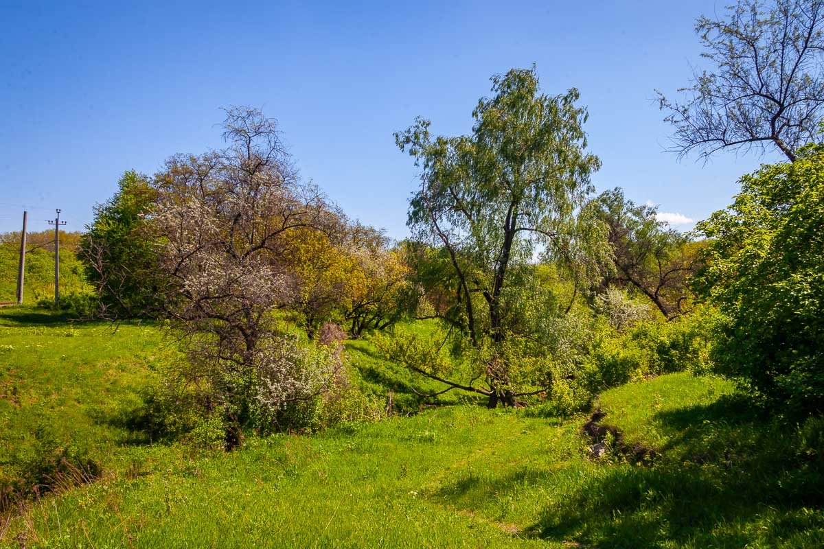 И не нужно далеко ездить