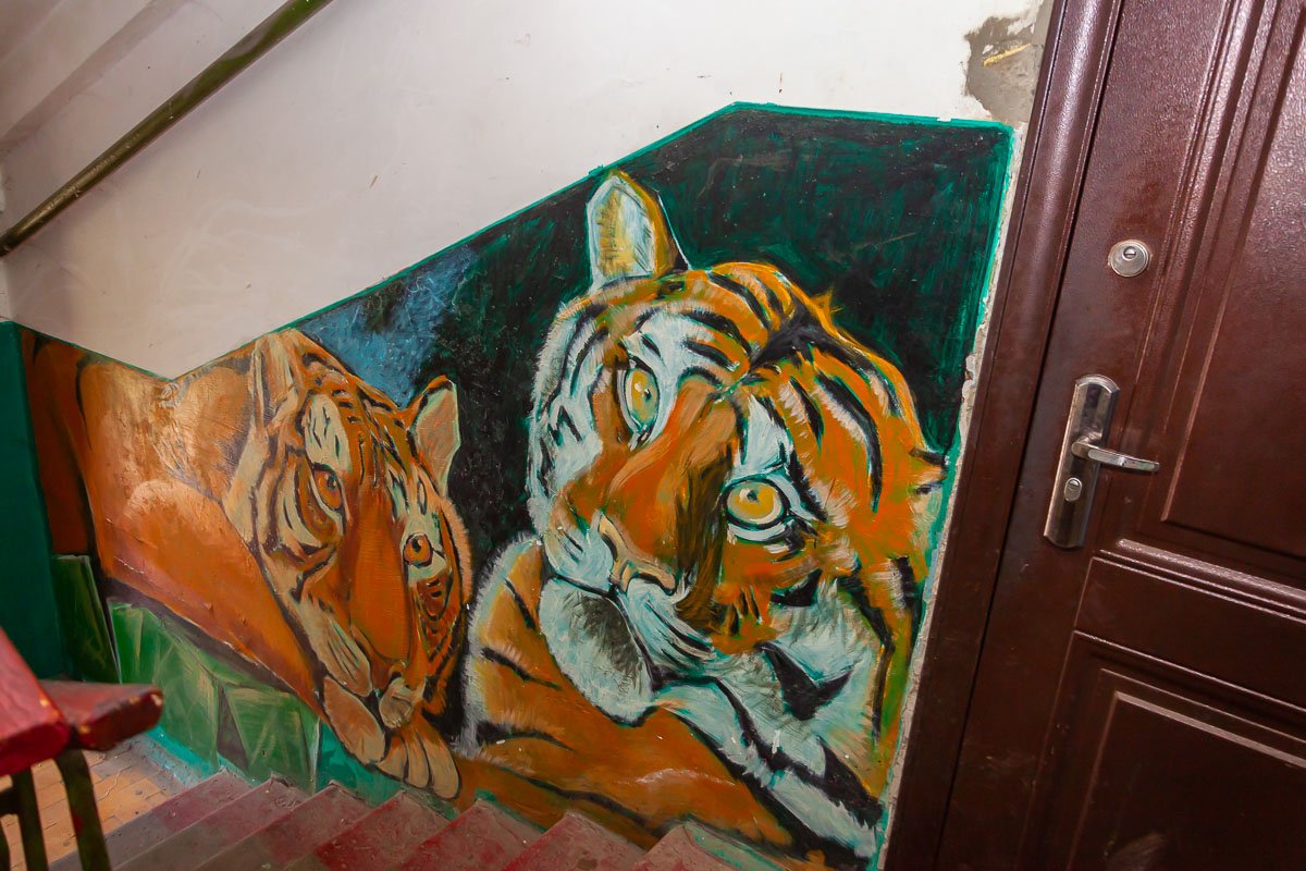 Украсил серые будни Украсил серые будни