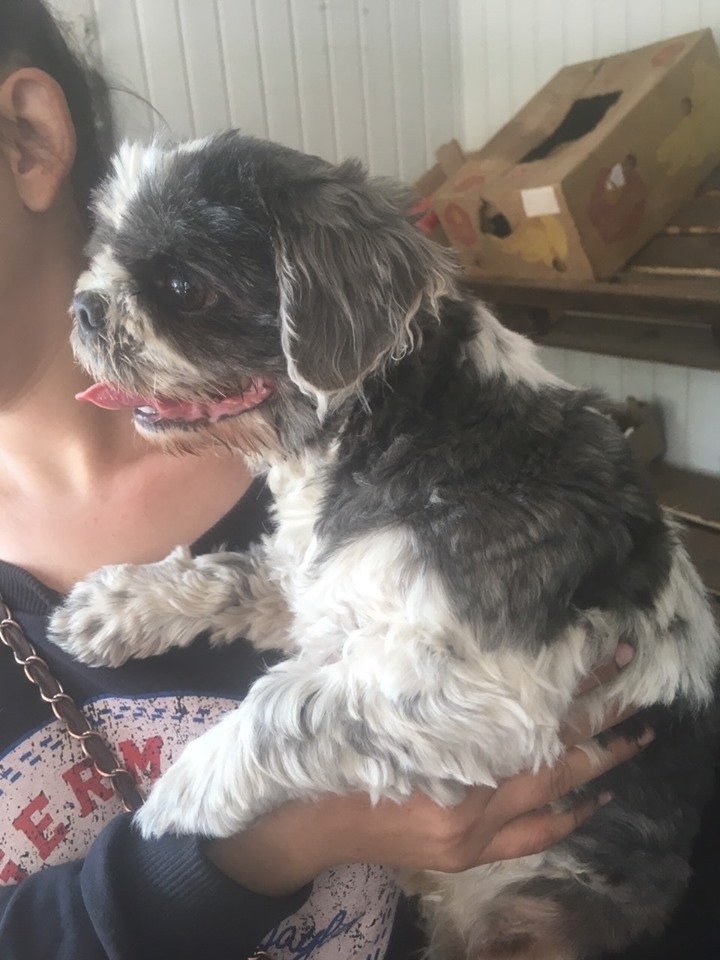 Хочет найтись