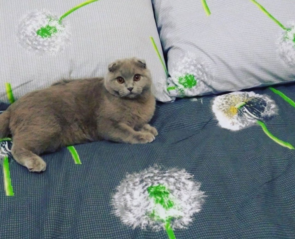 Беня потерялся