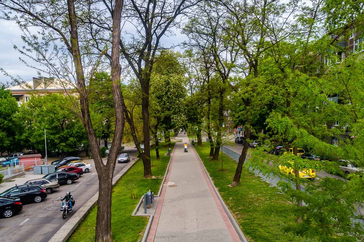 Нужно больше зелени