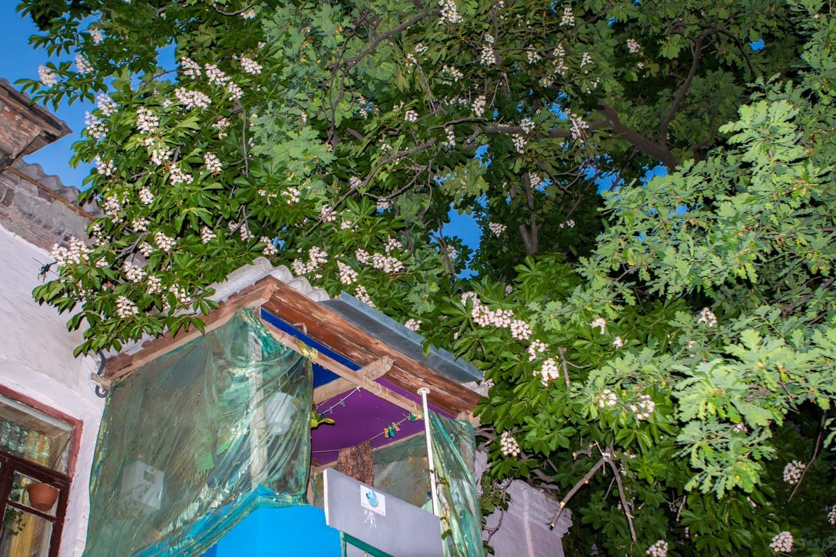 Ветка "приземлилась" на крышу и балкон