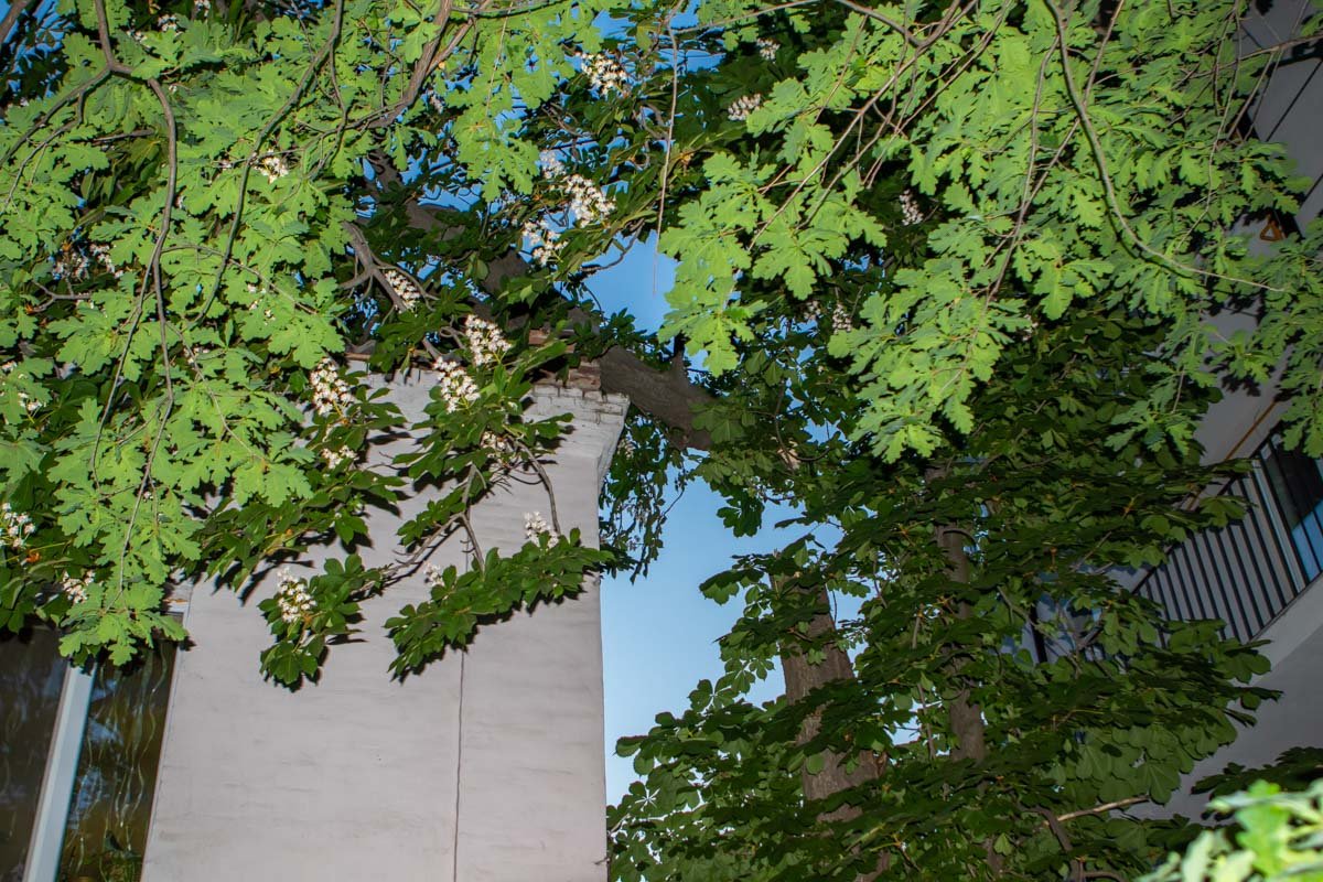 Никто не пострадал